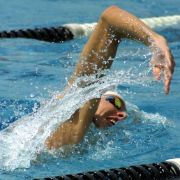 Schwimmtraining